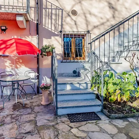 L'angolo Delle Peonie *