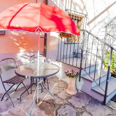 L'angolo Delle Peonie *