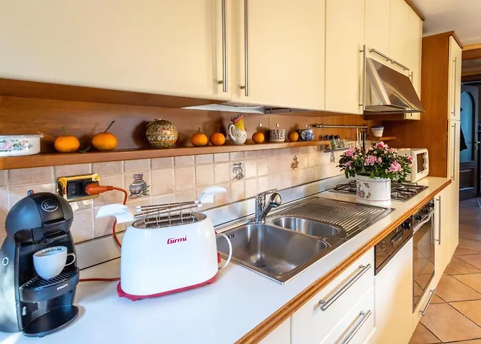 L'angolo Delle Peonie