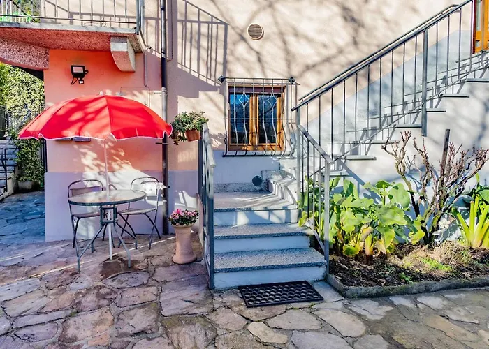 L'angolo Delle Peonie *