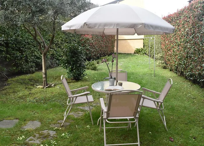 L'angolo Delle Peonie